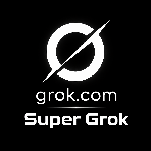 Grok SuperGrok Account 14–17 Days Validity Period
